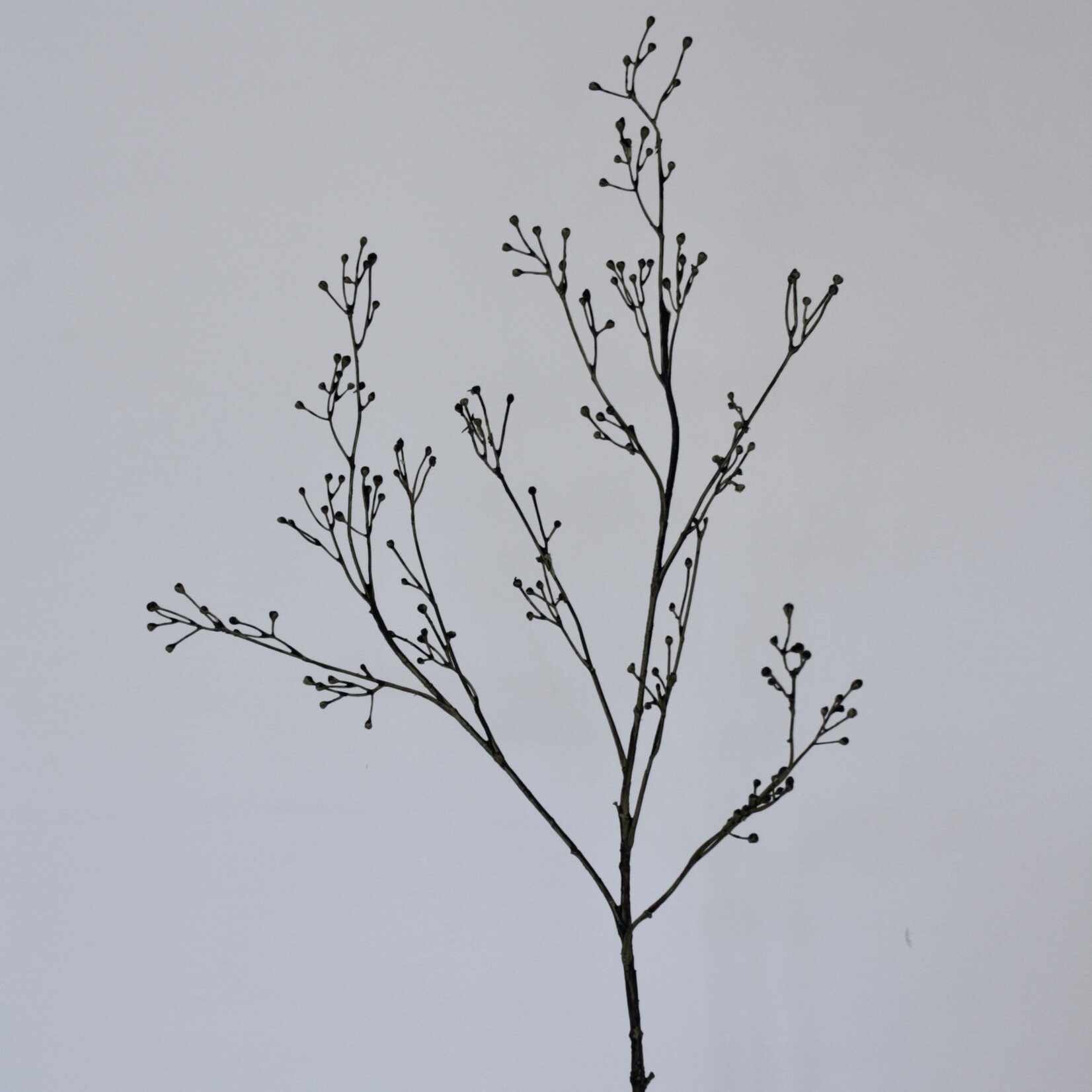 BERRY  SPRAY SMALL | BLACK | 99 CM