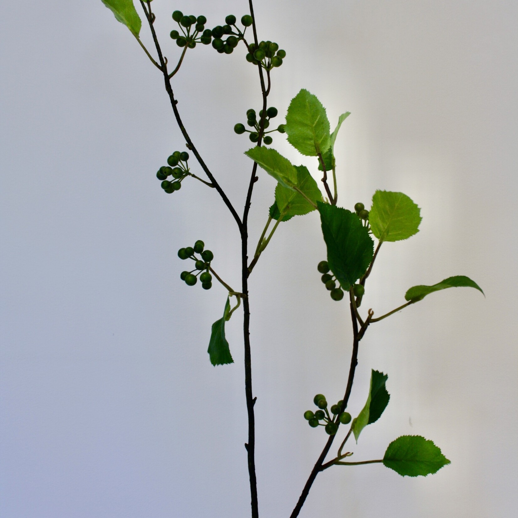 BESSENTAK MET BLAD | GROEN |  100 CM