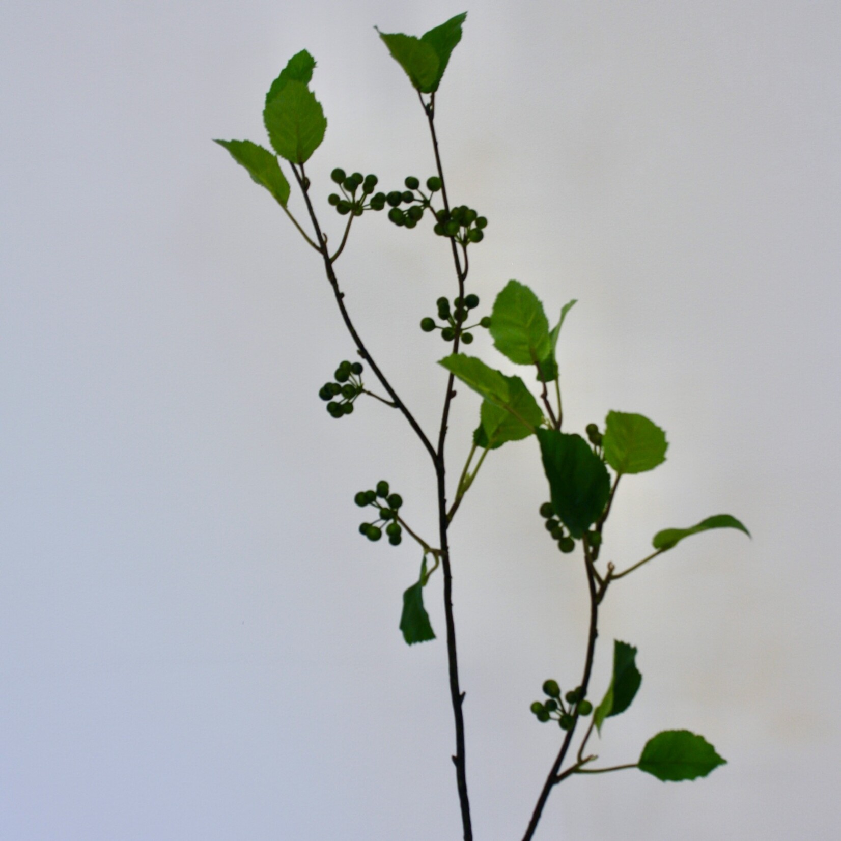 BERRY SPRAY WITH LEAF | GREEN | 100 CM