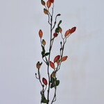 ROSEHIP | ORANGE | 78 CM