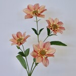 DAHLIA   | ORANJE | 65 CM