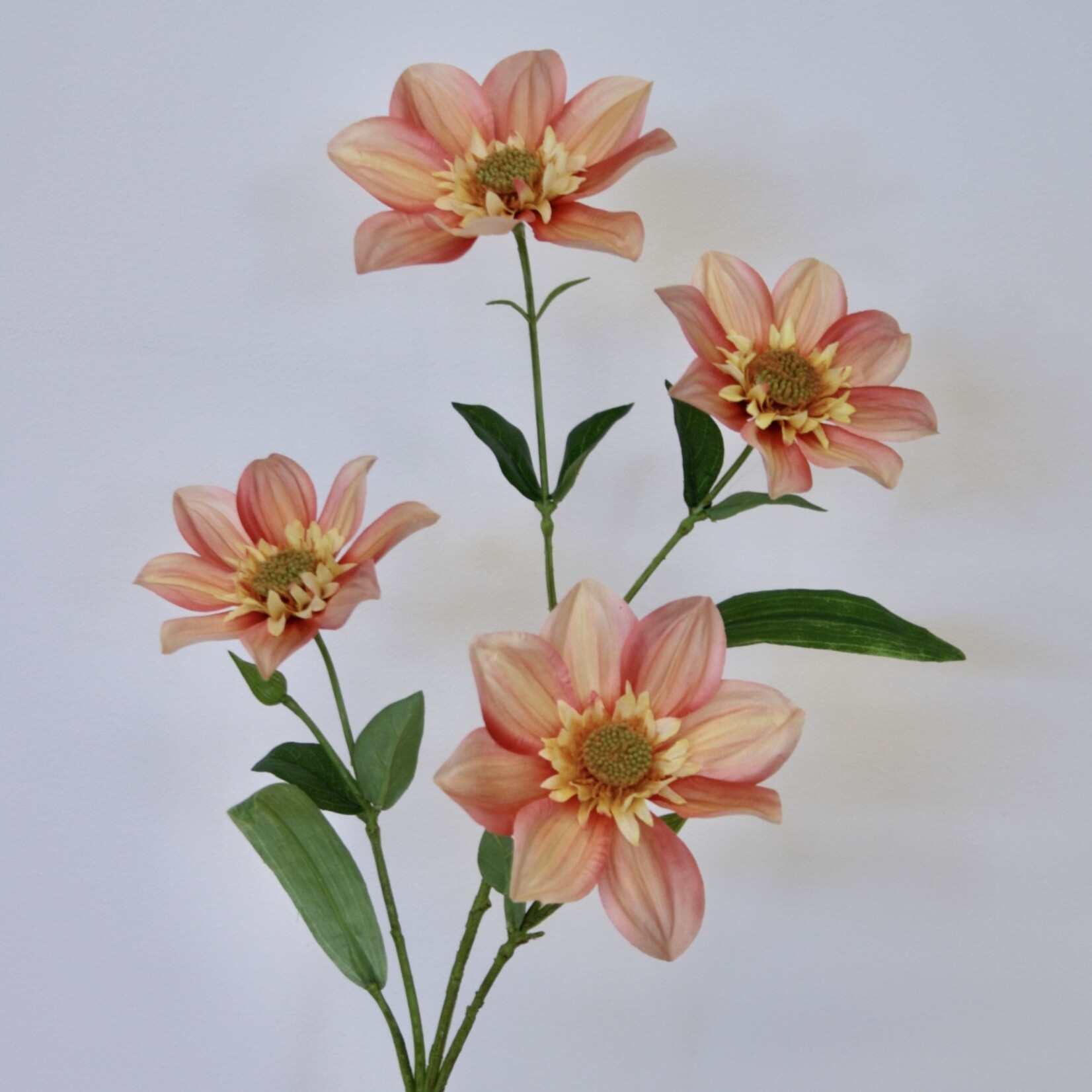 DAHLIA YVONNE | ORANGE |  65 CM