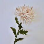 CHRYSANT | CREME | 62 CM