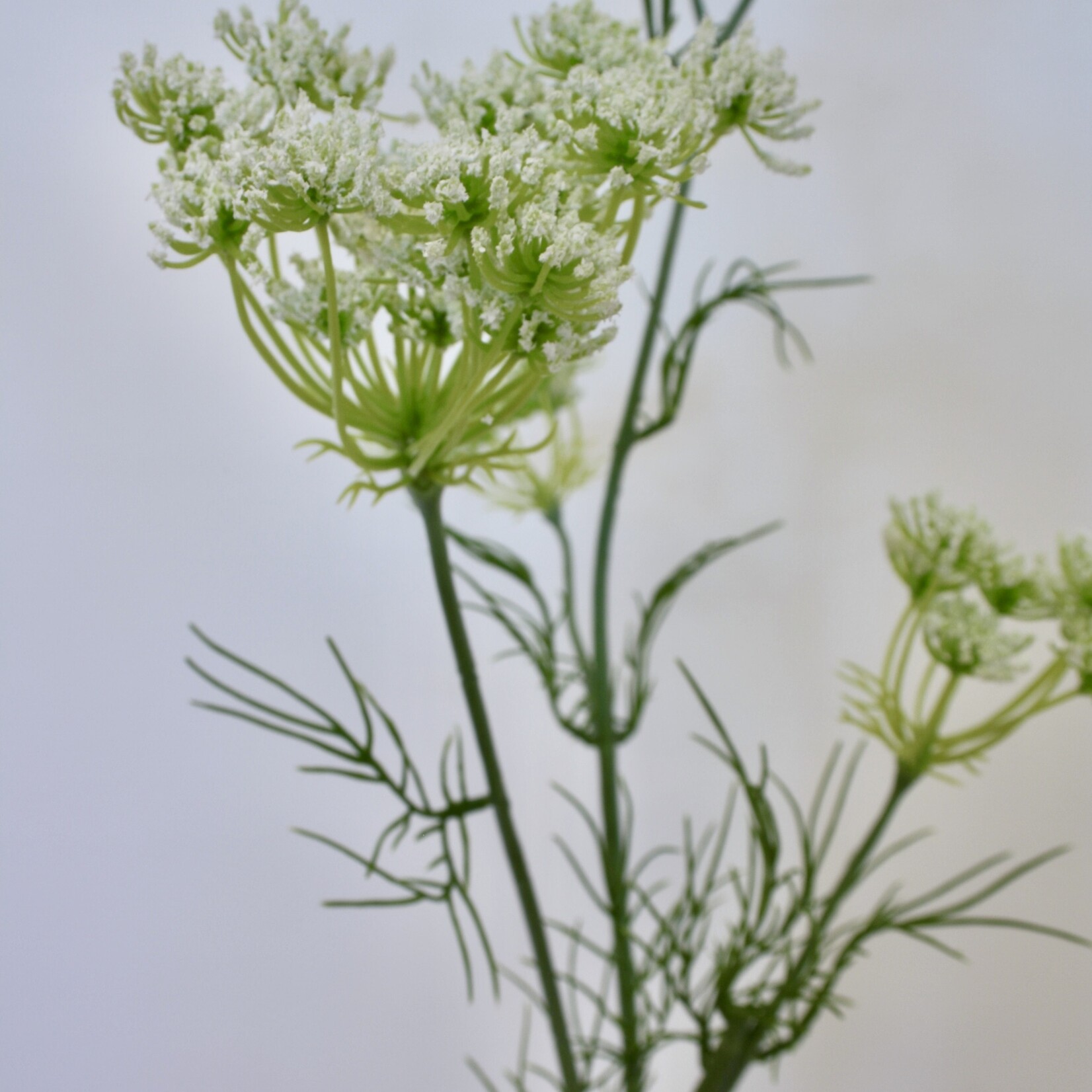 DILL SNOWFLAKE | WHITE | 78 CM