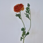 RANONKEL | ORANJE | 68 CM