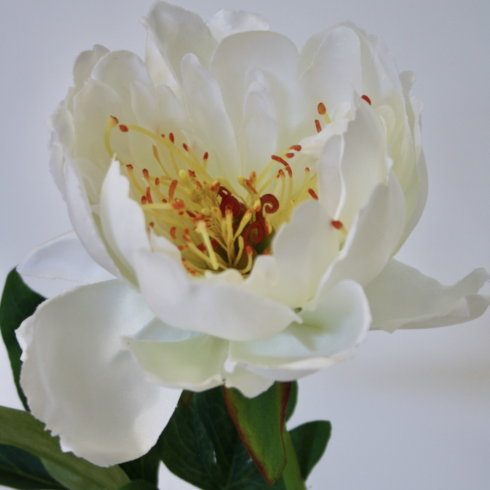 PEONY GARDENIA| WHITE | 51 CM