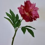PEONY ROSE | PINK | 60 CM