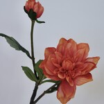 DAHLIA TAK  | ORANJE | 45 CM
