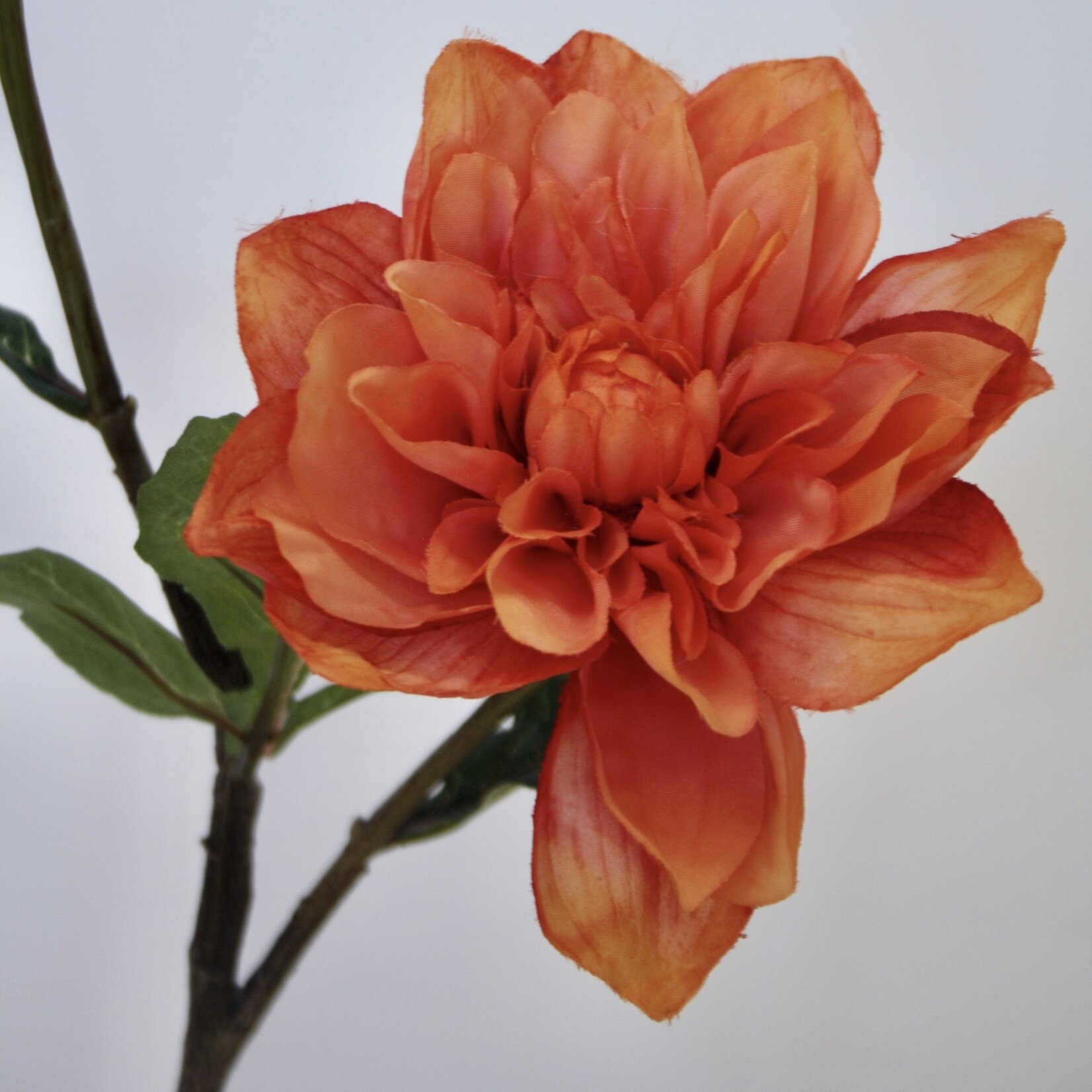 DAHLIA TAK  STATUE OF ORANGE | ORANJE | 45 CM