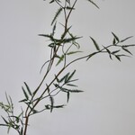 FERN BRANCH FINE  | GREEN | 110 CM