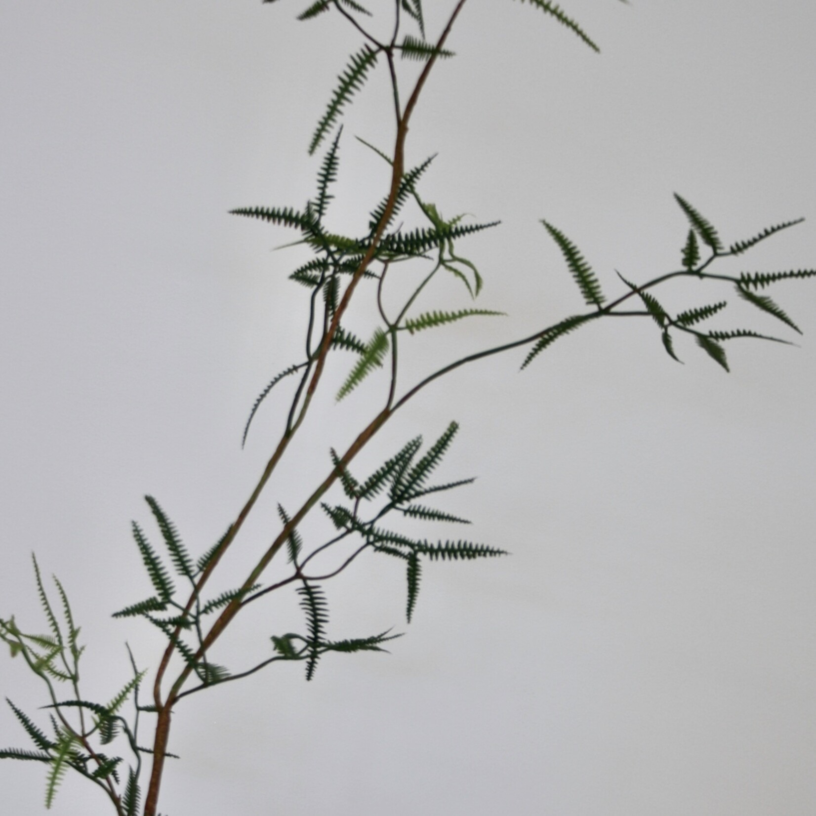 FERN BRANCH FINE  | GREEN | 110 CM