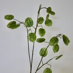 JUDASPENNING | GROEN | 95 CM