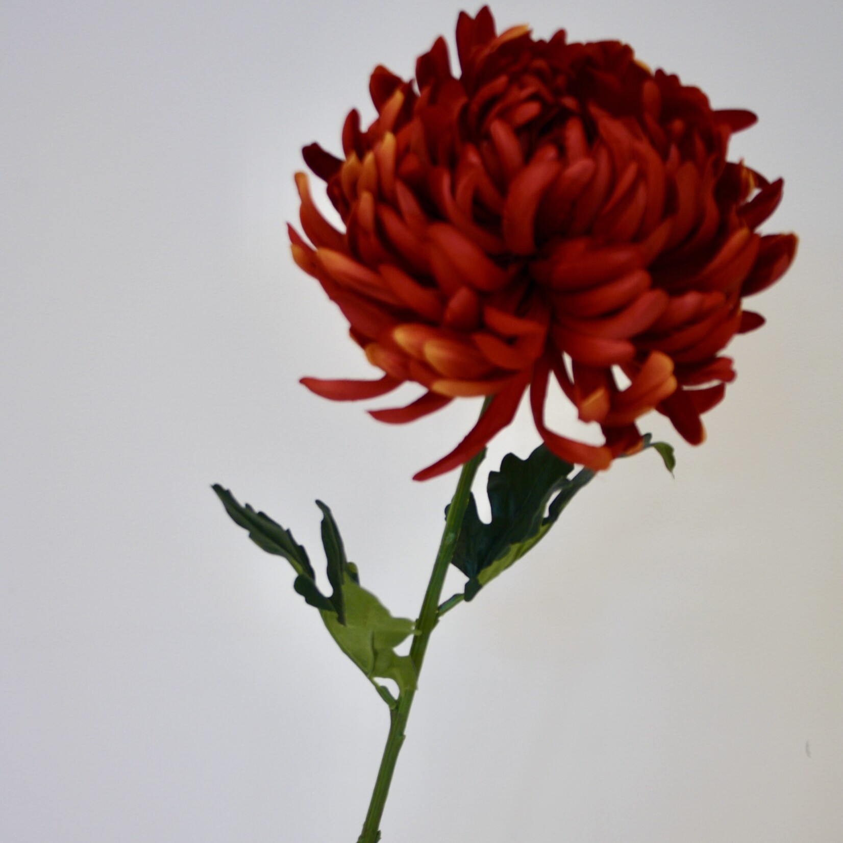 CHRYSANT XL | ORANJE ROOD | 80 CM