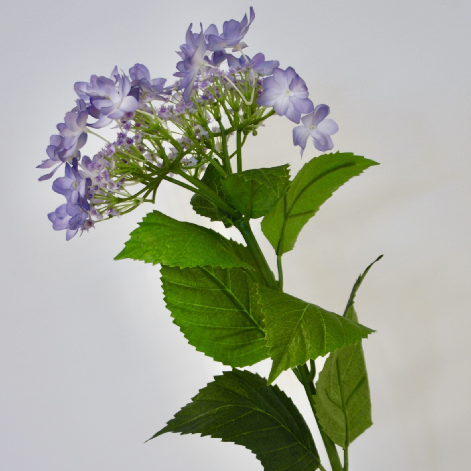 HORTENSIA | LAVENDEL| 65 CM