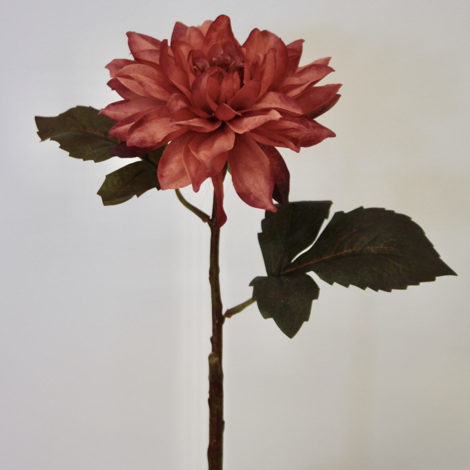 DAHLIA  | ORANJE | 40 CM
