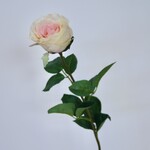 TUIN ROOS ENKEL | LICHT ROZE | 69 CM