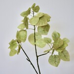LEAF BRANCH  | YELLOW GREEN | 70 CM