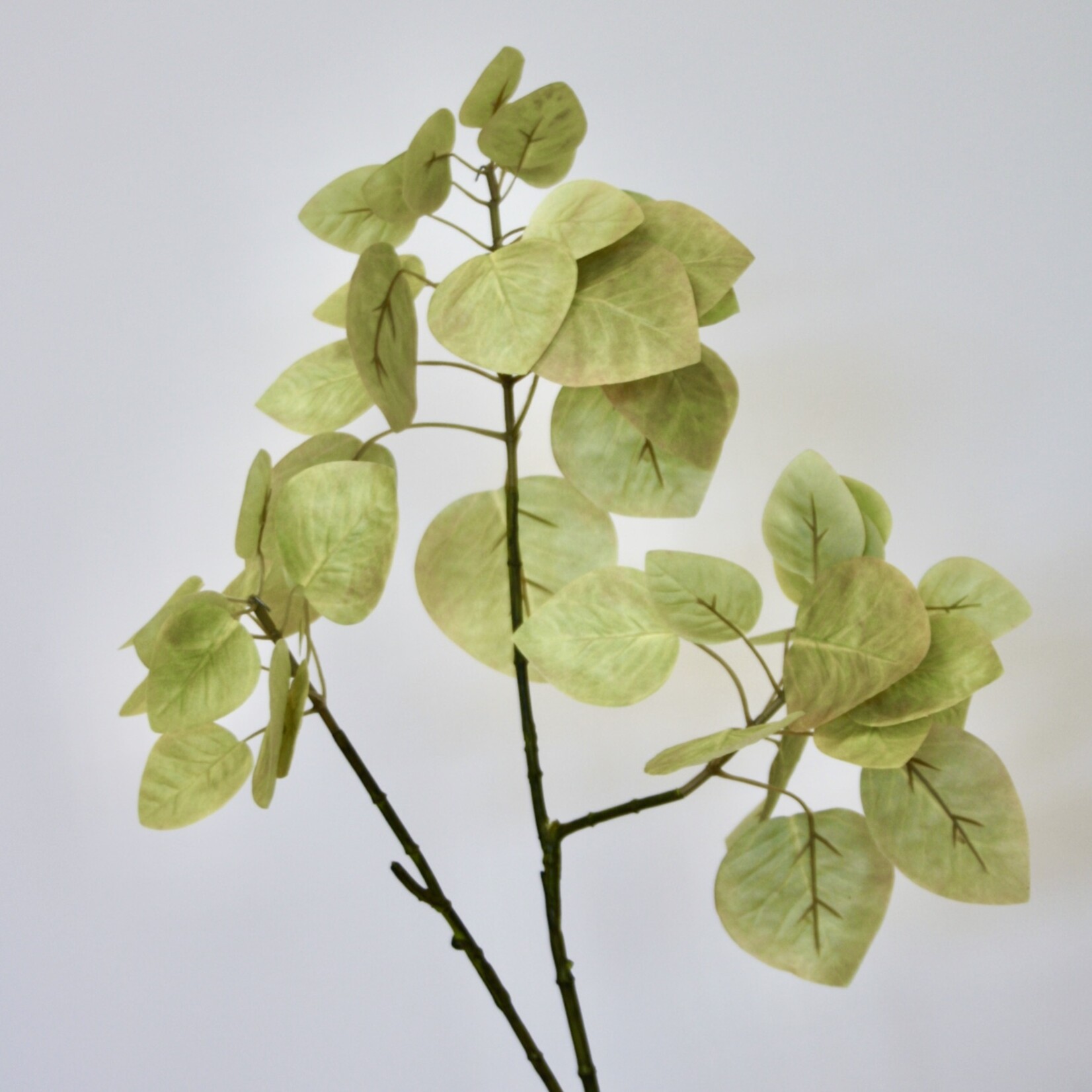 LEAF BRANCH TRUMPET TREE  | YELLOW GREEN | 70 CM