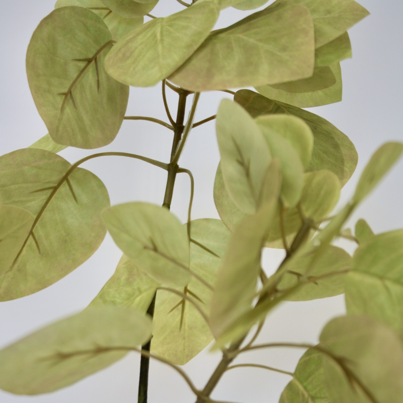 LEAF BRANCH TRUMPET TREE  | YELLOW GREEN | 70 CM