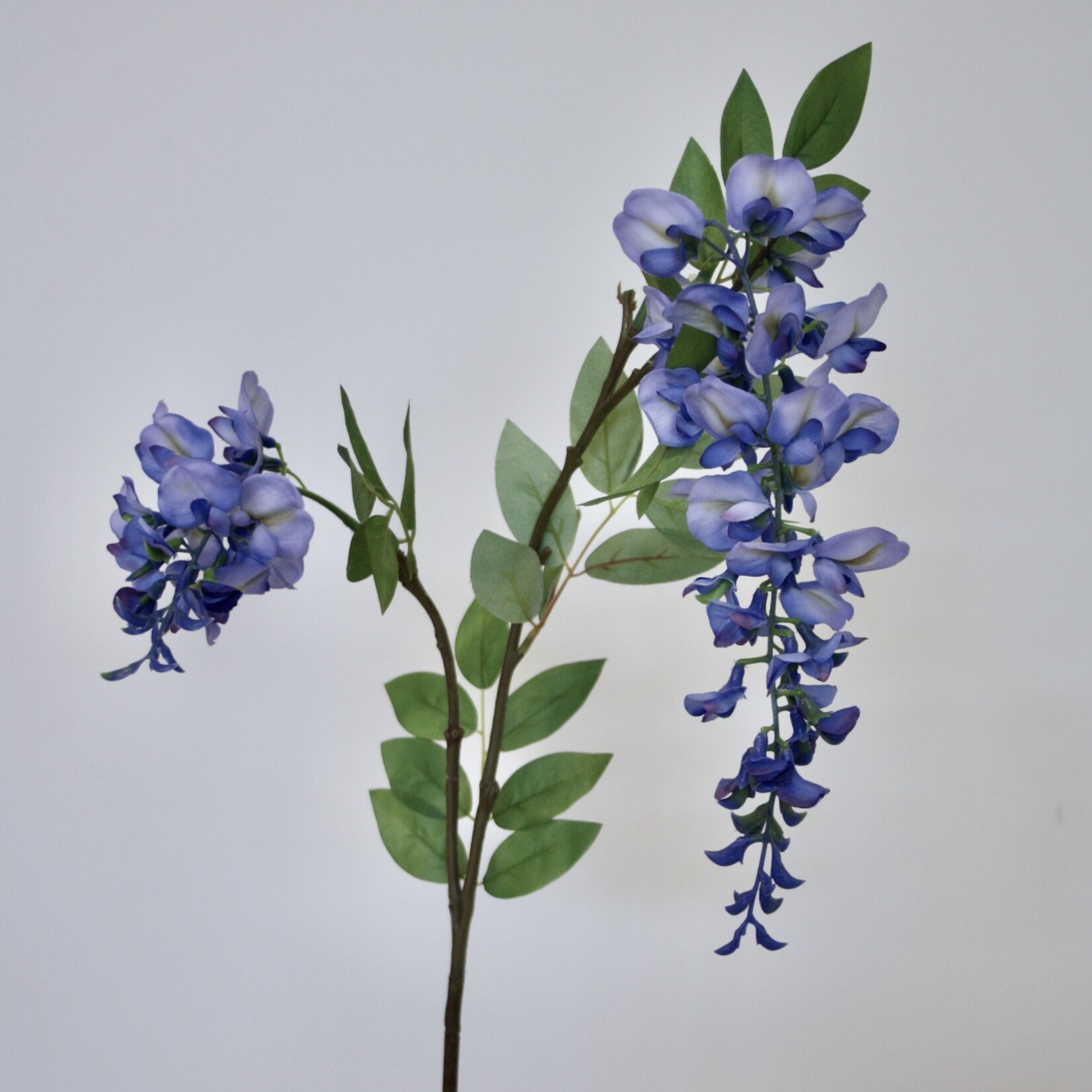 WISTERIA | BLUE | 80 CM