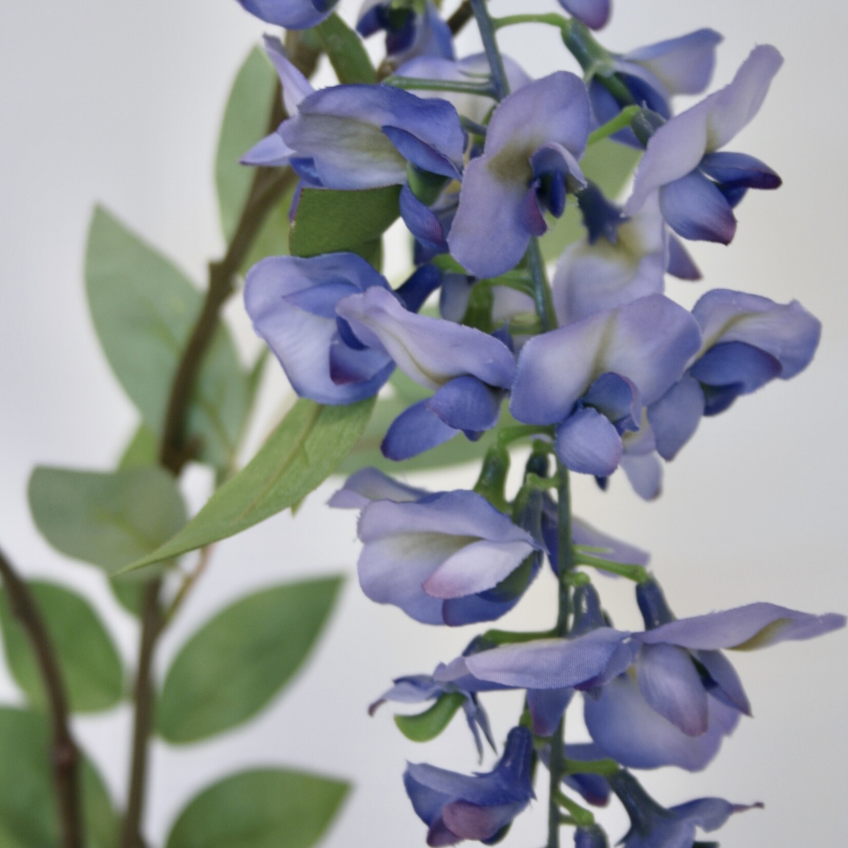 WISTERIA | BLUE | 80 CM