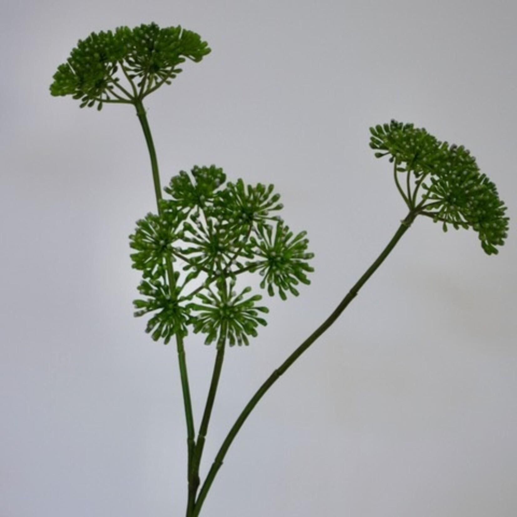 ANGELICA| GREEN | 83 CM