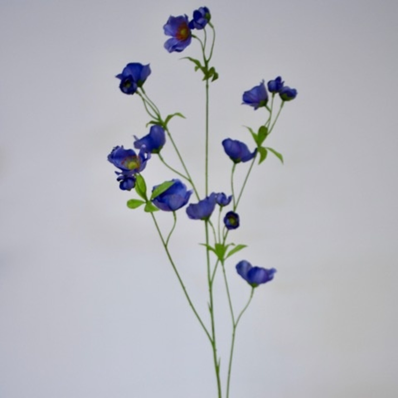 ANEMOON XL | BLAUW | 110 CM