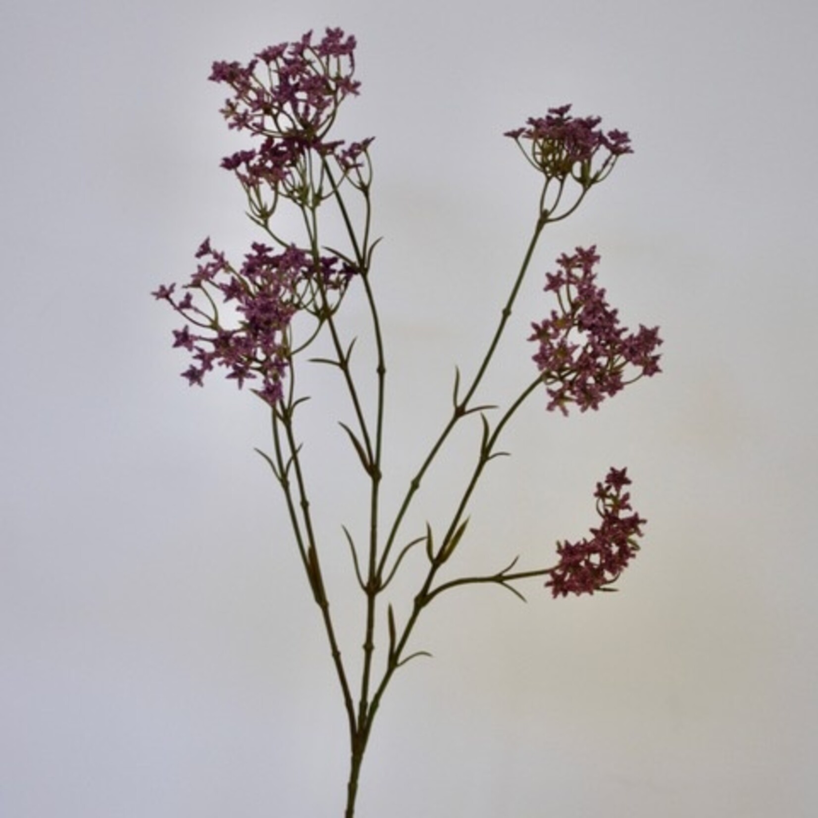 BABY'S BREATH ROSEA | PINK PURPLE | 70 CM