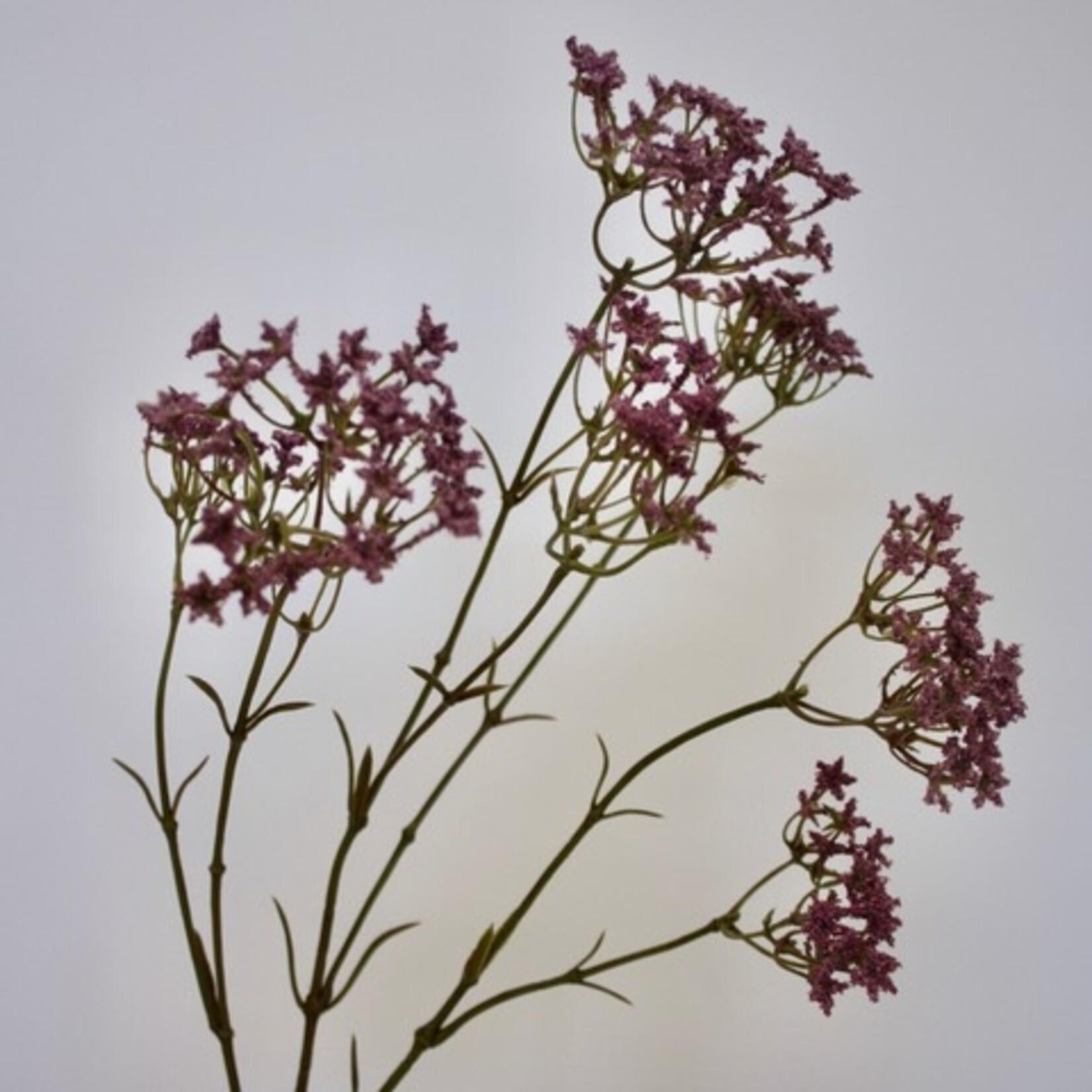 BABY'S BREATH ROSEA | PINK PURPLE | 70 CM
