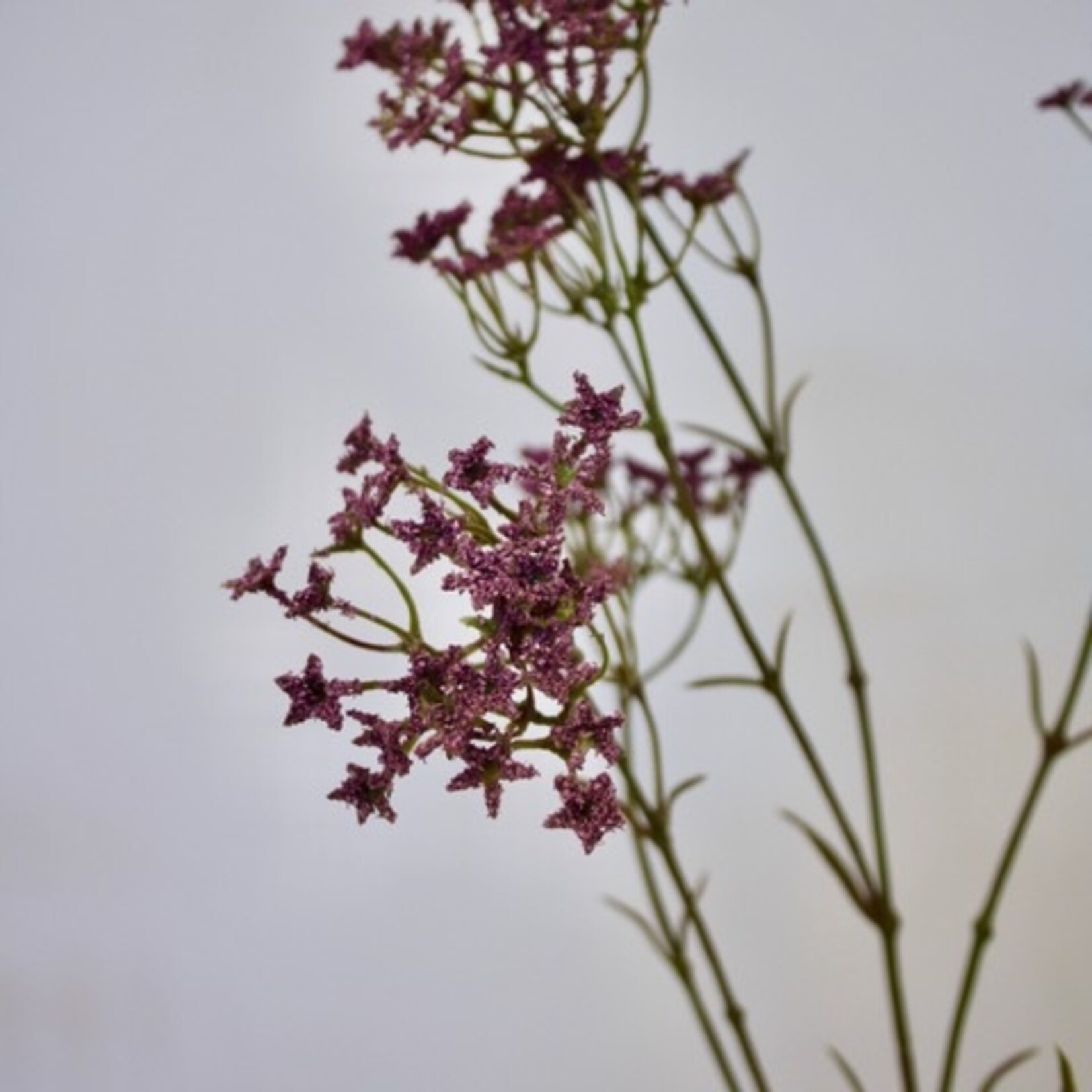 BABY'S BREATH ROSEA | PINK PURPLE | 70 CM