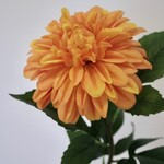 DAHLIA  | ORANGE |  70 CM