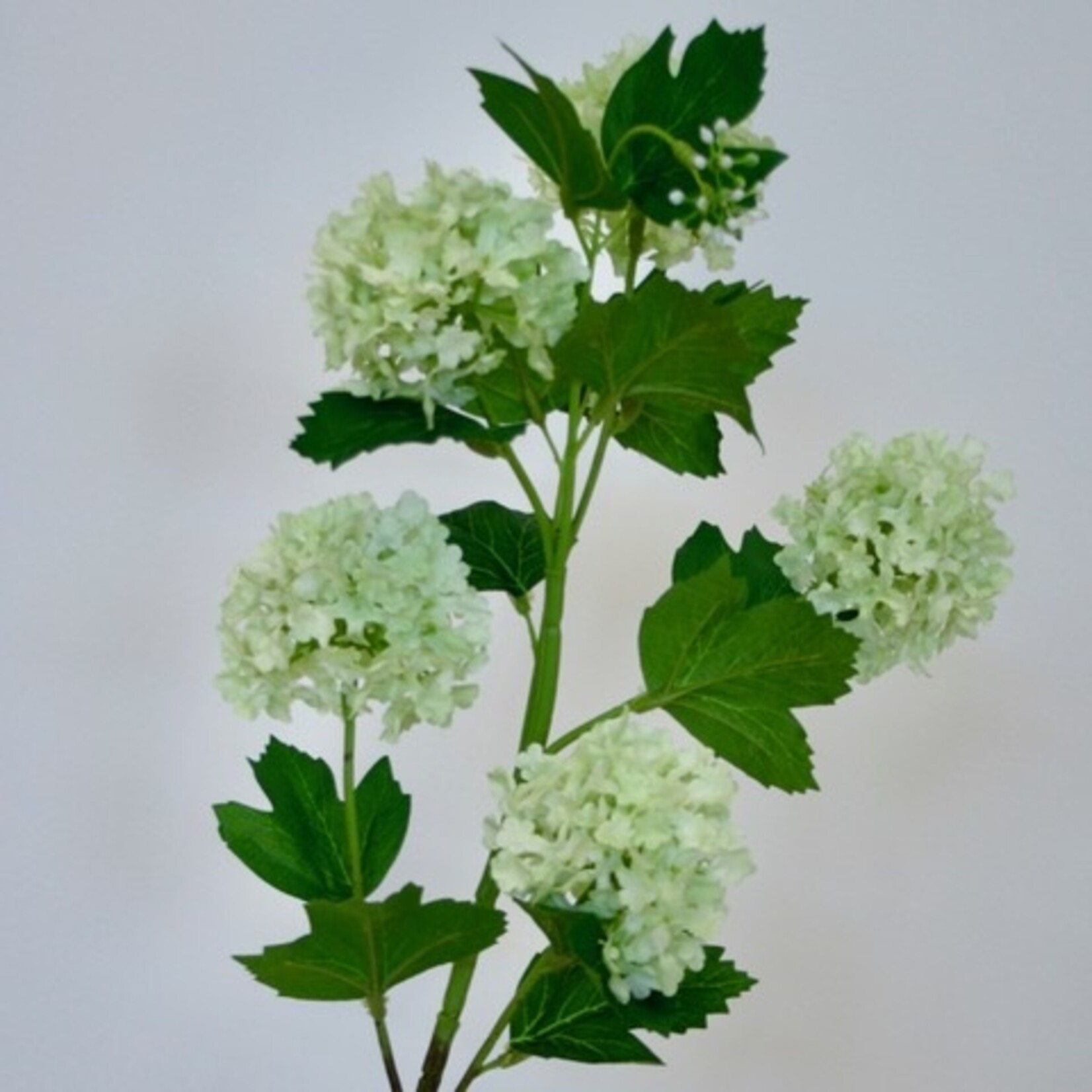 VIBURNUM | GREEN | 80 CM