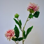 DAHLIA BRANCH | LIGHT PINK |  68 CM