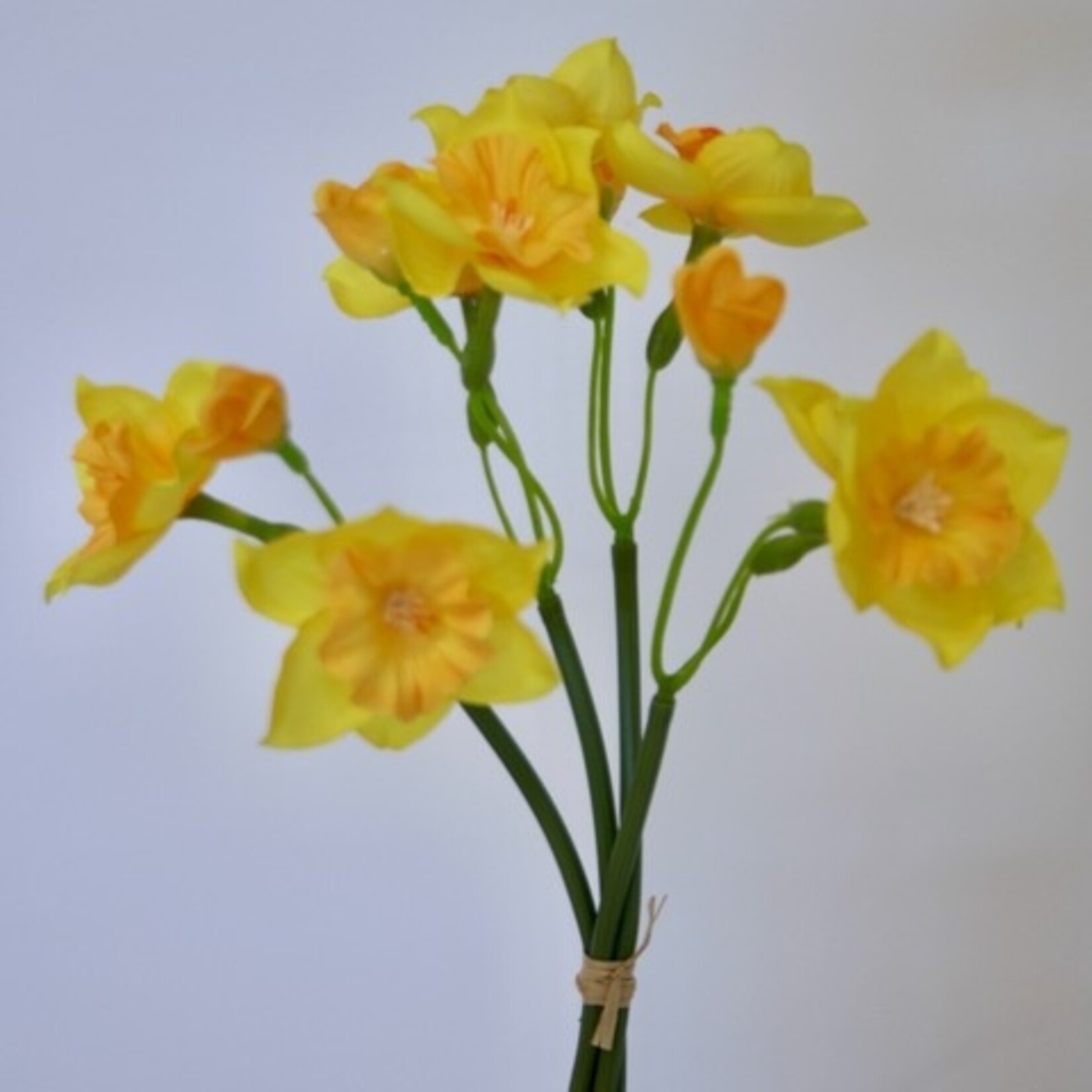 BUNCH OF NARCISSUS | YELLOW | 38 CM