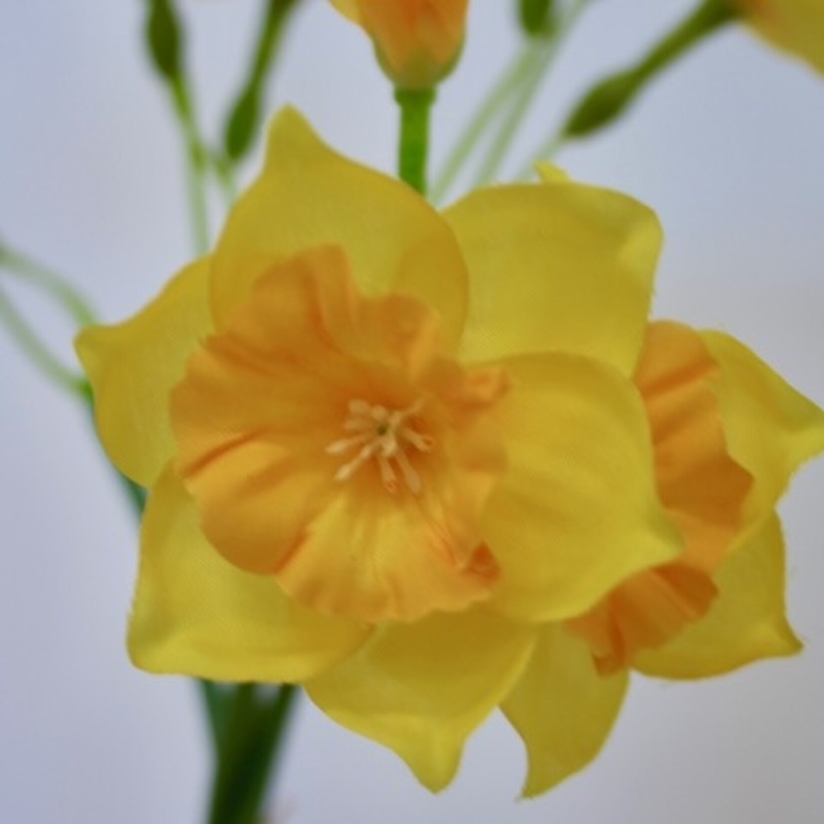 NARCIS BOSJE | GEEL | 38 CM