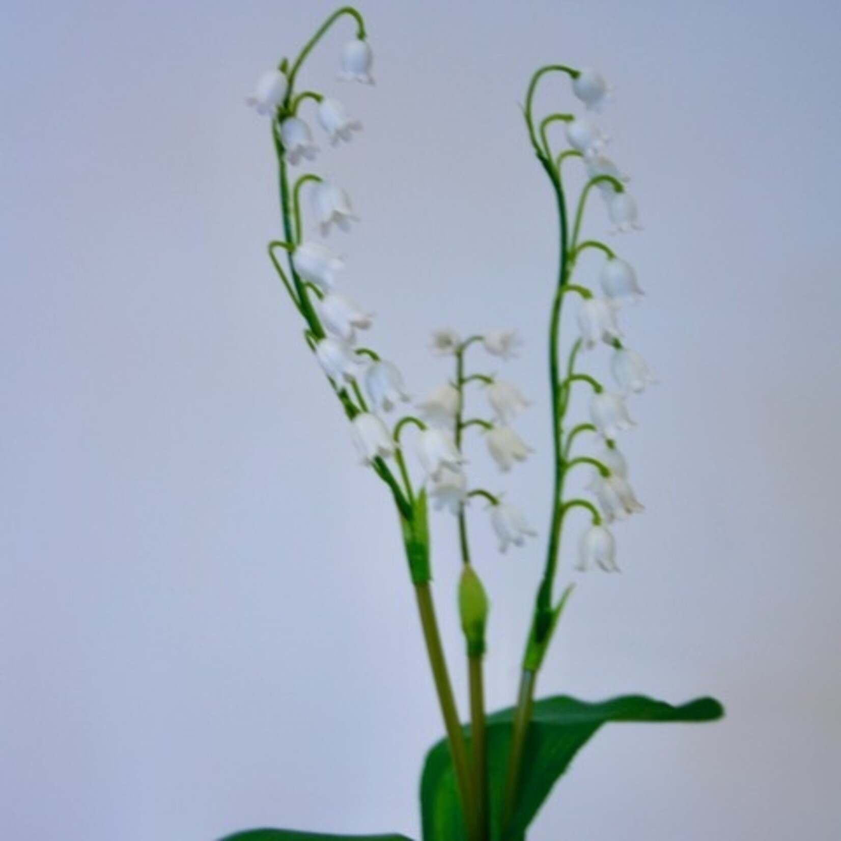 LILY OF THE VALLEY | WHITE | 40 CM