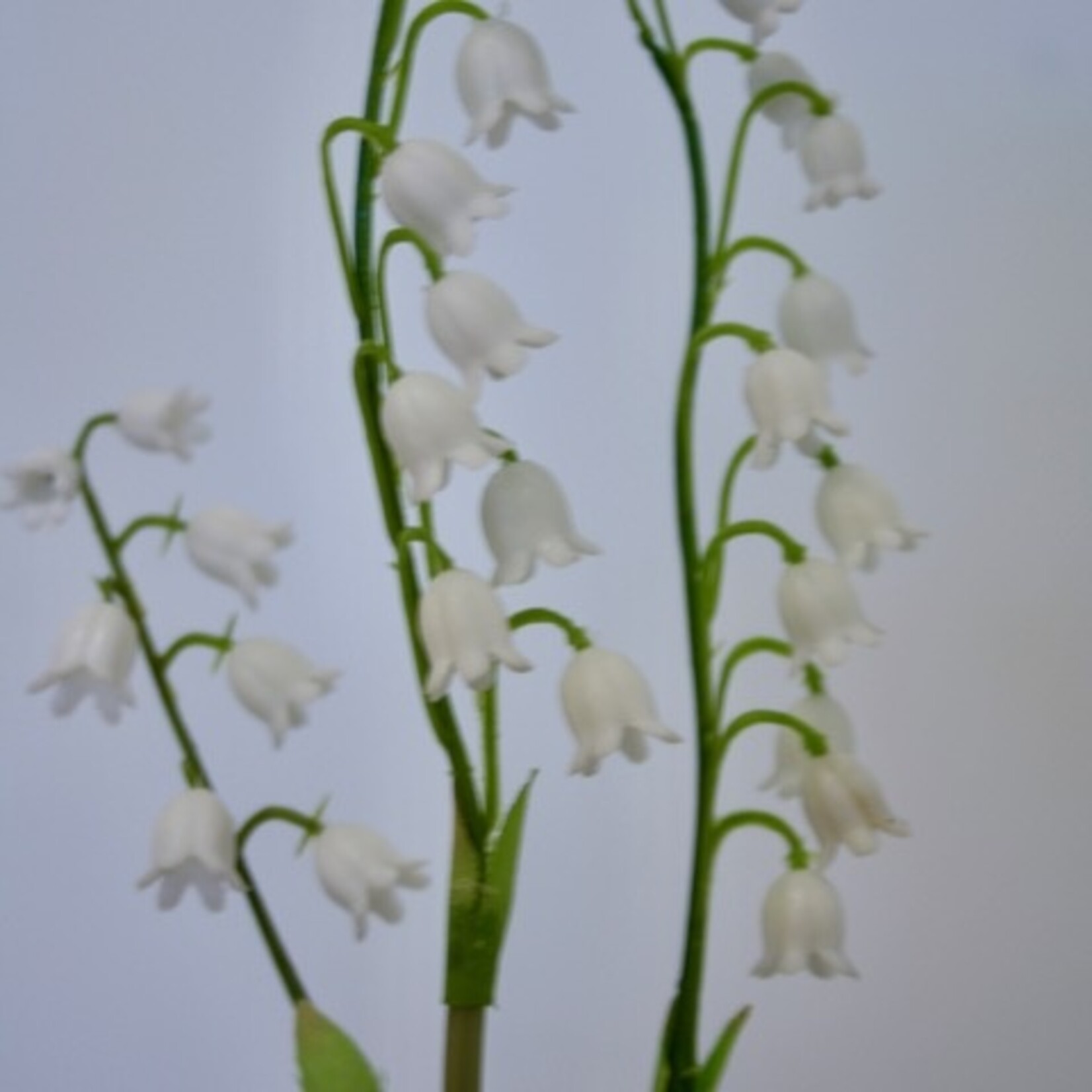 LILY OF THE VALLEY | WHITE | 40 CM