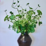 BOEKET THE GREEN SCENE| GROEN