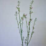 BLOSSOM |PINK | 95 CM