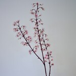 BLOESEM | ROZE | 112 CM