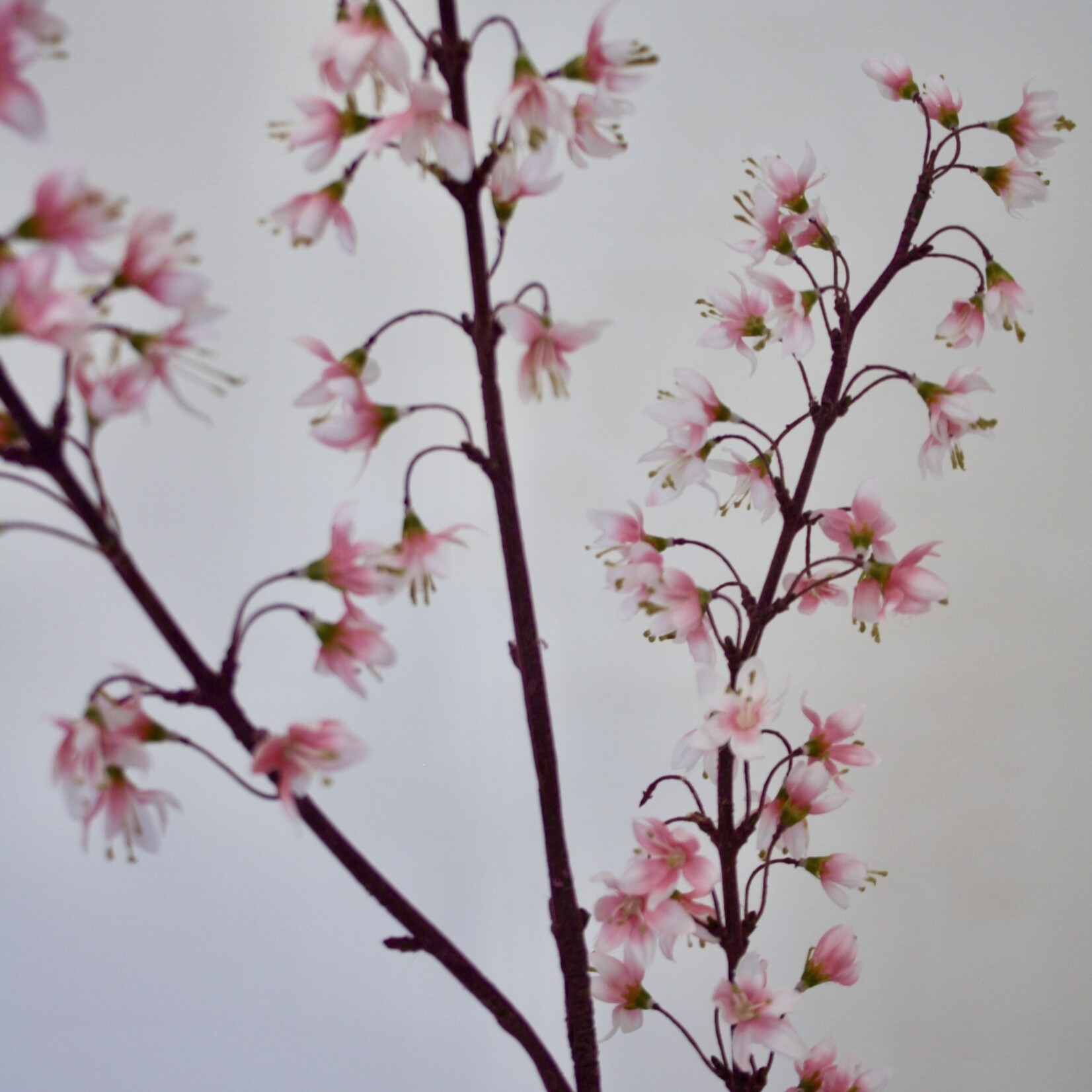 BLOSSOM BRANCH | PINK |112 CM