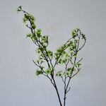 MANUKA BRANCH | GREEN | 110 CM