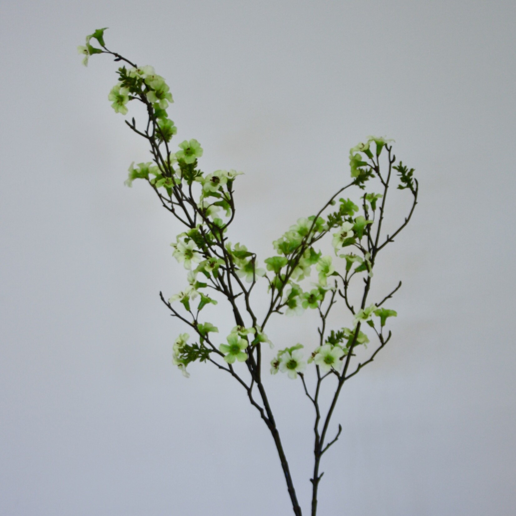 MANUKA BRANCH | GREEN | 110 CM