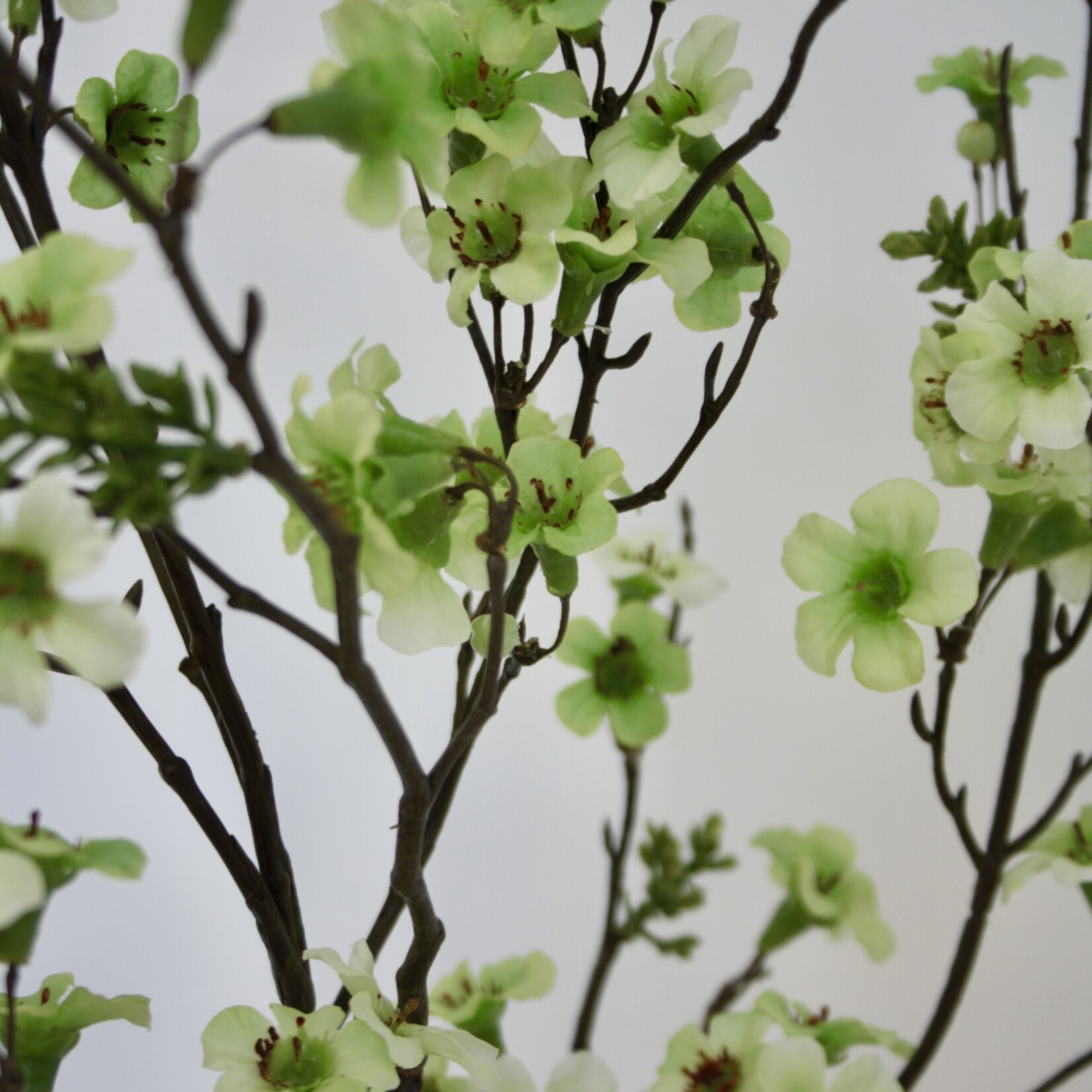 MANUKA BRANCH | GREEN | 110 CM