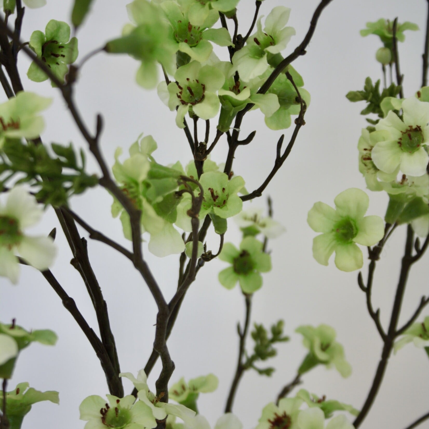 MANUKA TAK | GROEN | 110 CM