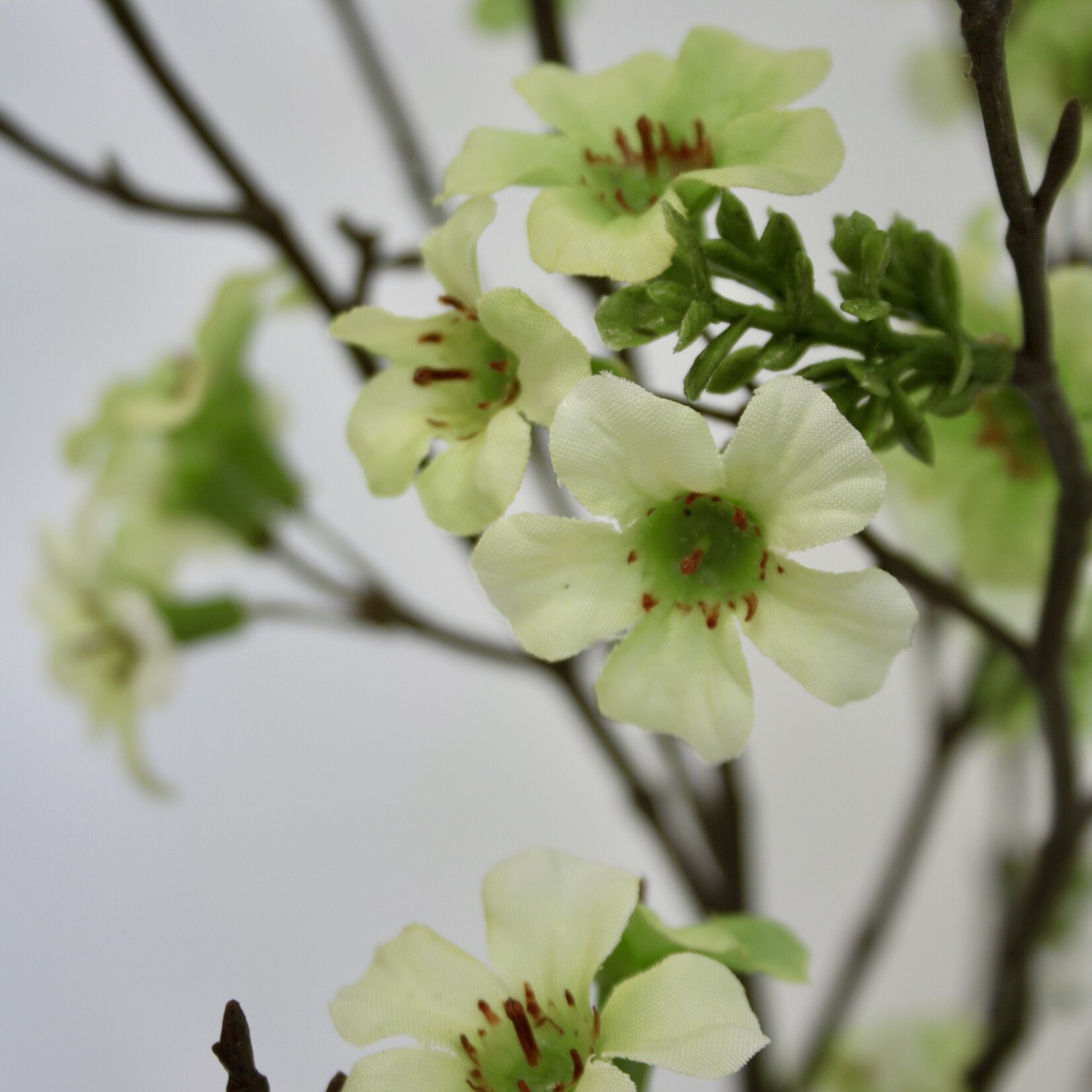 MANUKA TAK | GROEN | 110 CM