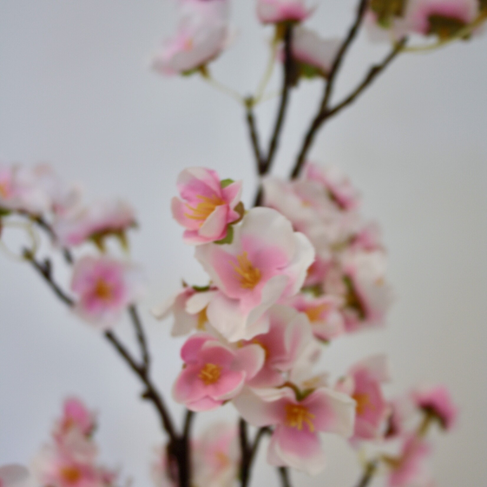 BLOSSOM | PINK | 90 CM