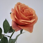 ROSE | CORAL | 66 CM