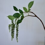 BESSENTAK HANGEND  | GROEN |  75 CM