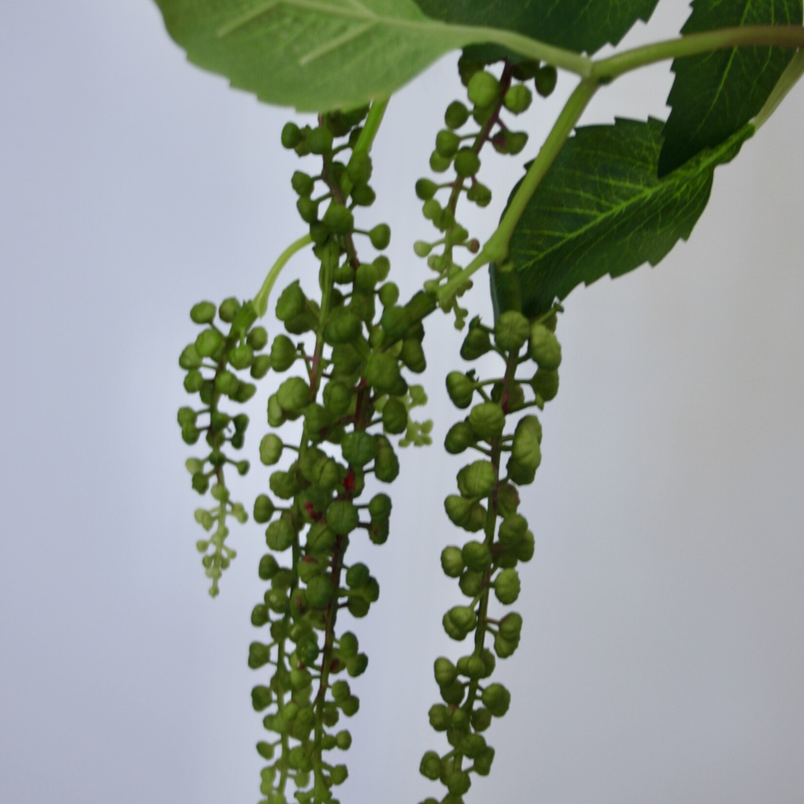 BESSENTAK HANGEND  | GROEN |  75 CM